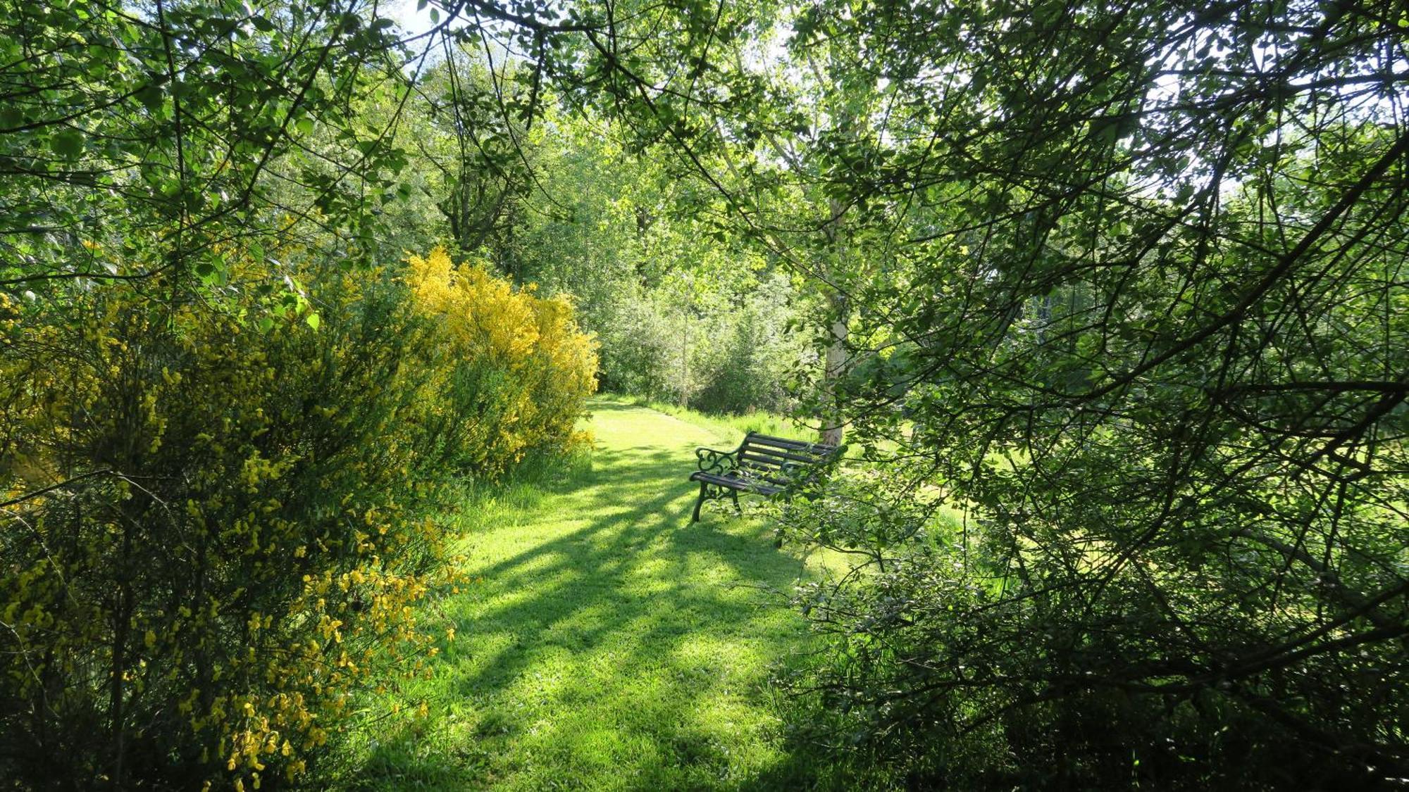 Serenite Verte A La Tuilerie Accommodation La Bazeuge Luaran gambar
